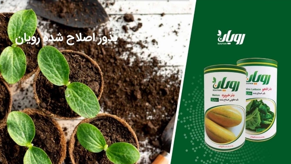 Green Technology, Urea and Sulfur Export Company in Tehran