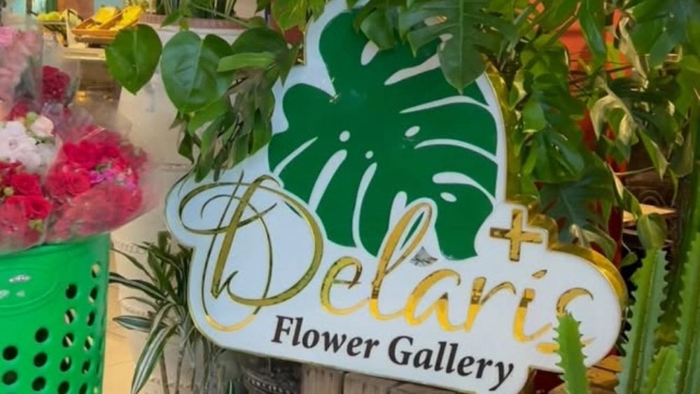Gallery Delaryris Flare, Sale of Boxing Boxing and Flowering in Kish