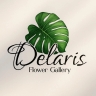Gallery Delaryris Flare, Sale of Boxing Boxing and Flowering in Kish