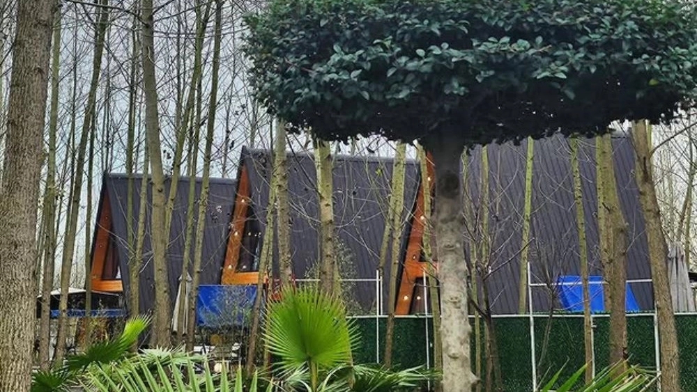 Mijan Garden, Booking the Swiss Cottage Forest Residence with an outdoor pool in Pirbazar Rasht