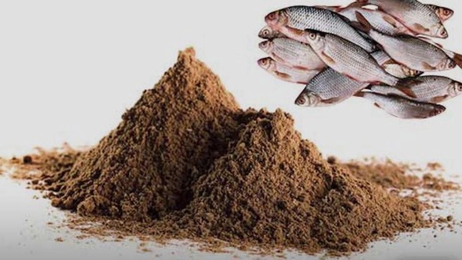 Darya Seed Company, Fish Powder Production in Tehran
