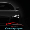 Selting's job, buying and selling imported cars and free zones in Rasht