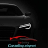 Selting's job, buying and selling imported cars and free zones in Rasht