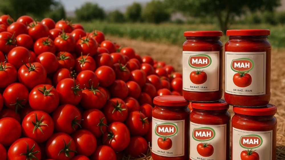 Buy Tomato paste directly from the manufacturer in Shiraz