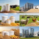 World Protein Powder Company, Production of Livestock and Poultry Protein Supplements in Mashhad