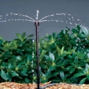 Tofiqian Irrigation Services, Implementation of Smart Drop irrigation system in Gilan