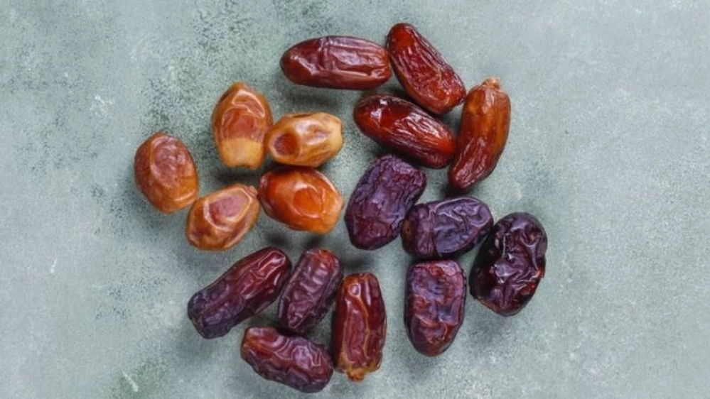Saeed Dates Products, Sale and Broadcast of Kebkab Zahedi Dates in Bushehr
