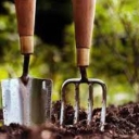 Aria Store, Supply and Sales of Fresh and Agricultural Poison in Rasht