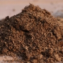 Shahdad Easy Correcting Company, Palm Pete soil production and sale in Kerman