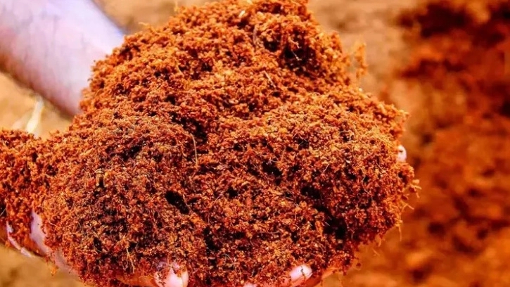 Shahdad Easy Correcting Company, Palm Pete soil production and sale in Kerman
