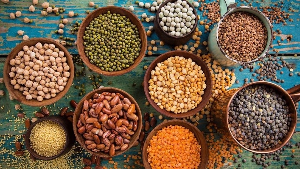 Supply of Creator goods, export of beans and automotive parts in Lotfabad
