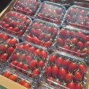 Surveying Maghsoudi, Fruit and Fruit Exports in Jiroft
