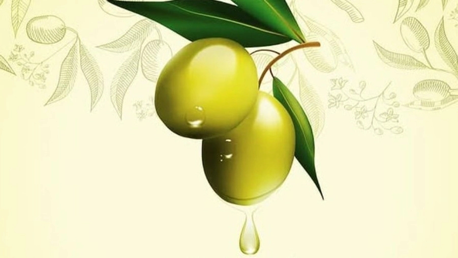 Gardener cultivation, olive products and pickles in Zanjan