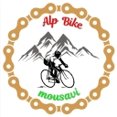 Alps Baik, Sales of Alps in Tabriz