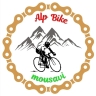 Alps Baik, Sales of Alps in Tabriz