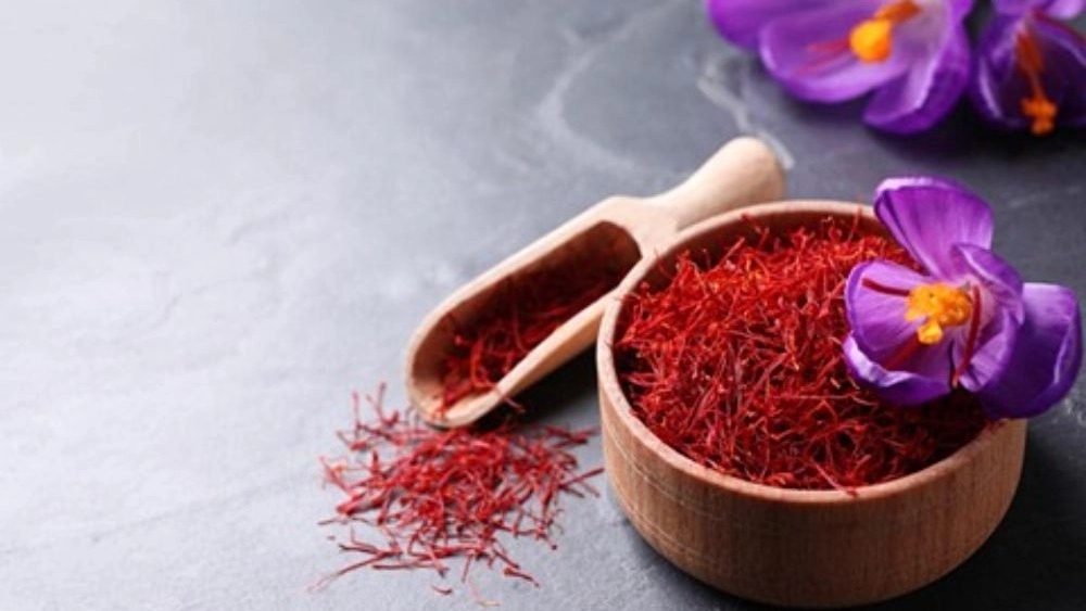 Javanmard Saffron, Production and Sales of Saffron in Farouj North Khorasan