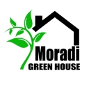Moradi Greenhouse, Sale of Flowers and Plants in Tonekabon Mazandaran