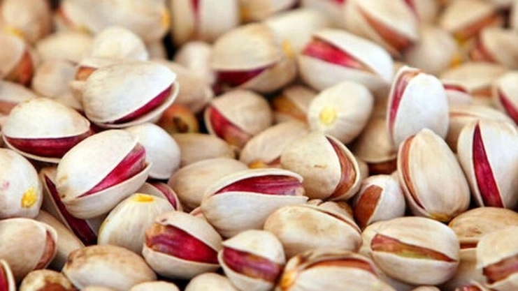 Pistachio, almond pistachio and hazelnut export in Gonabad Khorasan