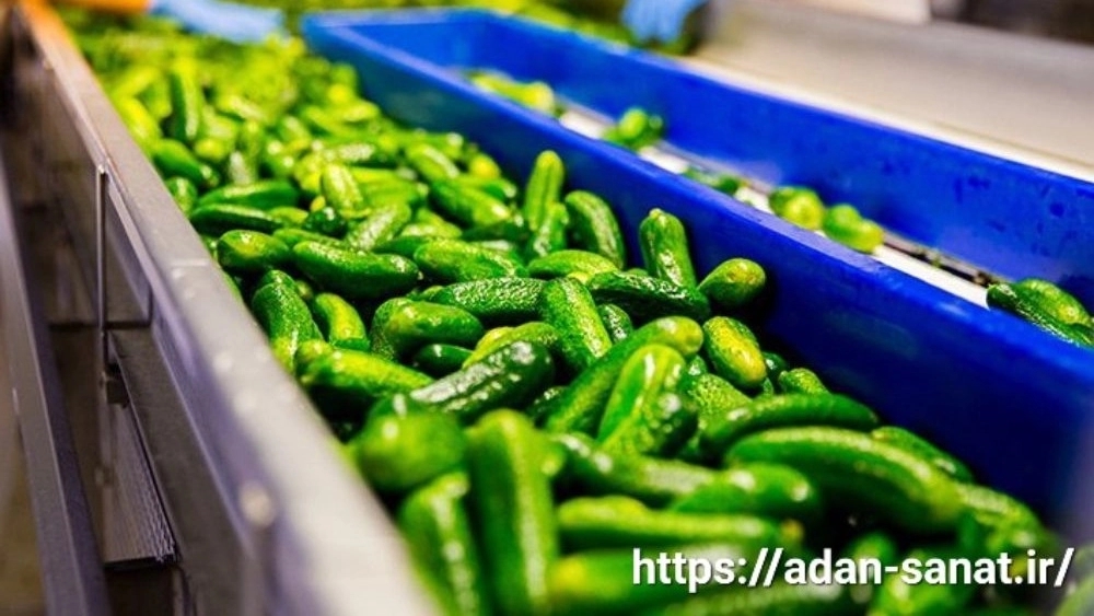 A comprehensive guide to buying pickled cucumbers and pickles in Shiraz, expert tips and introduction of the best equipment