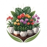 Flower City Shop, Production of Flowers and Ornamental Apartment Trees in Pakdasht