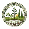 Nursery production, reproduction of all kinds of fruitful and non-fruitful seedlings in the kitchen of North Khorasan
