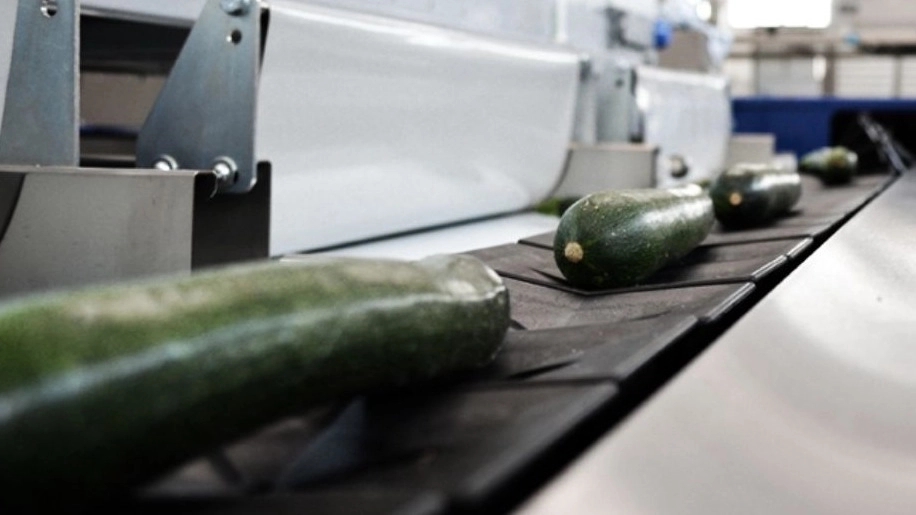 Purchase and price of cucumber sorting machine in Shiraz
