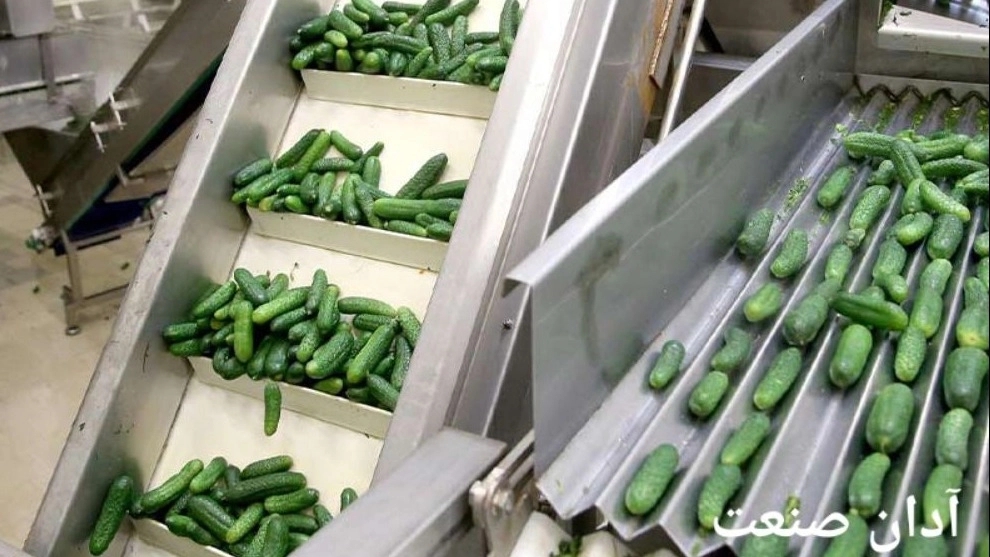 Production and packaging line of pickles, pickled cucumbers and salted olives of Adan Sanat company in Shiraz
