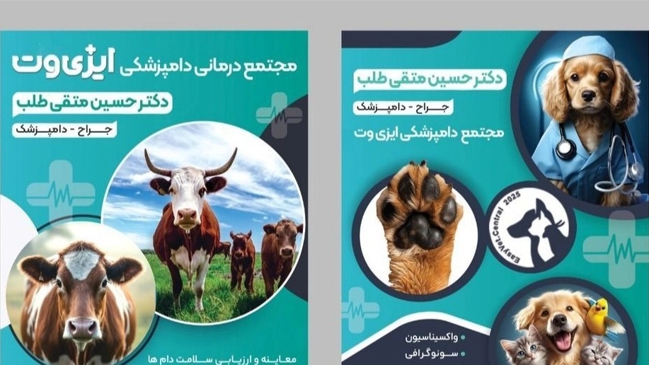 Easyvet veterinary complex, treatment and surgery services for pets in Rasht