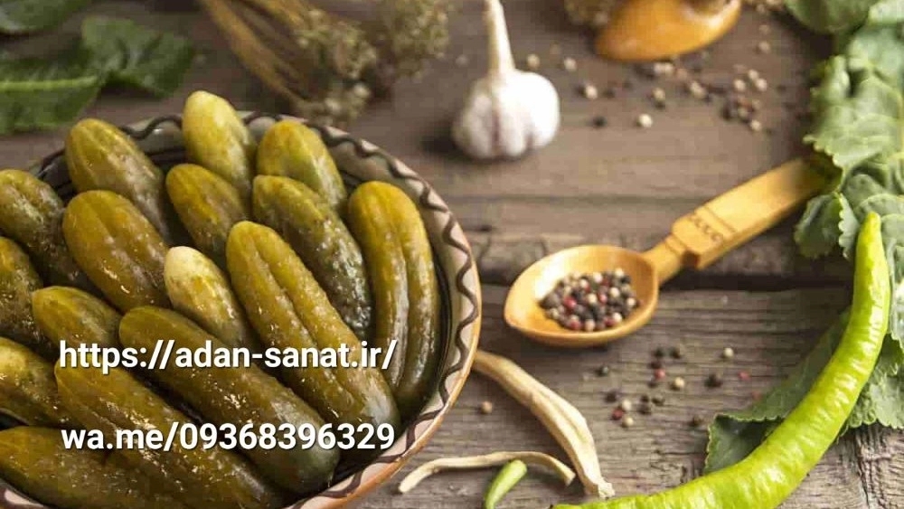 خرید و قیمت خط تولید خیارشور و ترشیجات در شیراز آدان صنعت