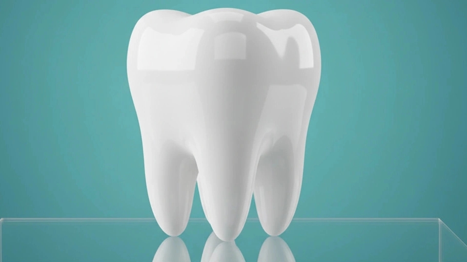 Ghasemi dental equipment, sale of dental and dental equipment in Tehran
