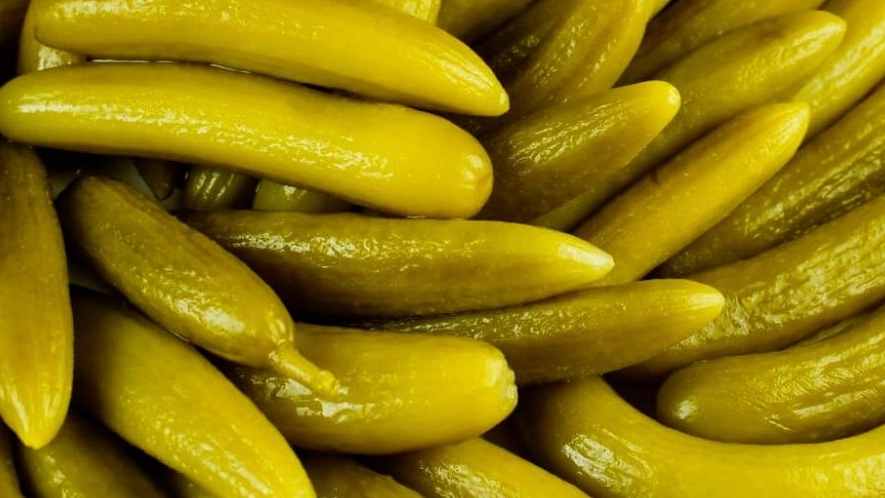 Zahedi production, production and distribution of pickled cucumbers in Birjand
