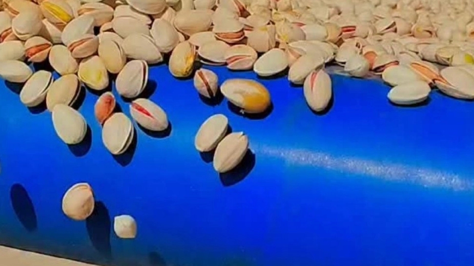 Dehghan dried fruit, buying and selling pistachios in Razavi Khorasan Bardskan