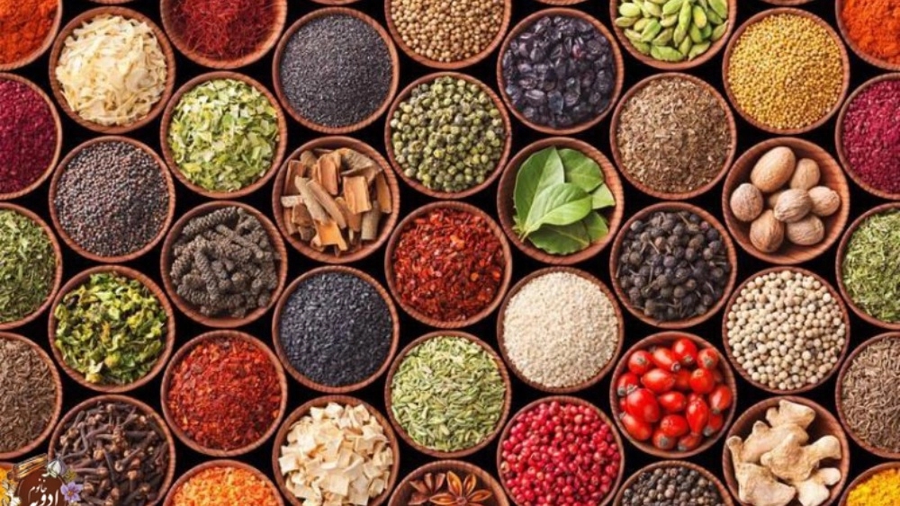 Sadeghi organic spice shop, selling all kinds of herbal spices in Sabzevar, Khorasan