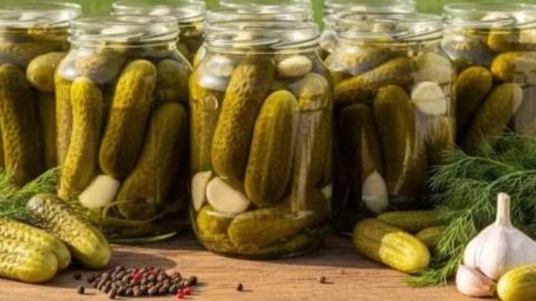 Packing machine for pickles and pickled cucumbers of Adan Sanat company