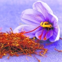 Yousefi saffron city store, selling original saffron in South Khorasan