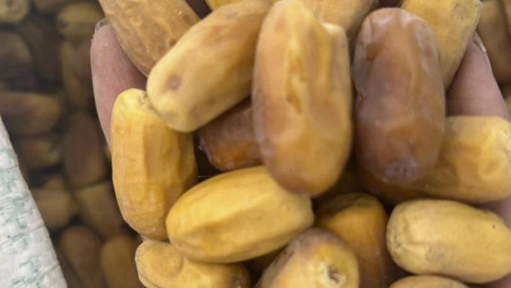 Special sale of Qasr Kandashkan dates