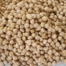 Farhad Karmi Trading, distributing and selling Goran chickpeas in Kermanshah