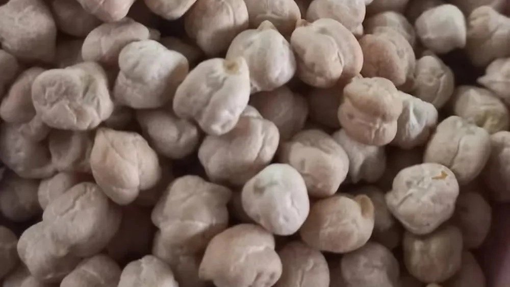 Farhad Karmi Trading, distributing and selling Goran chickpeas in Kermanshah