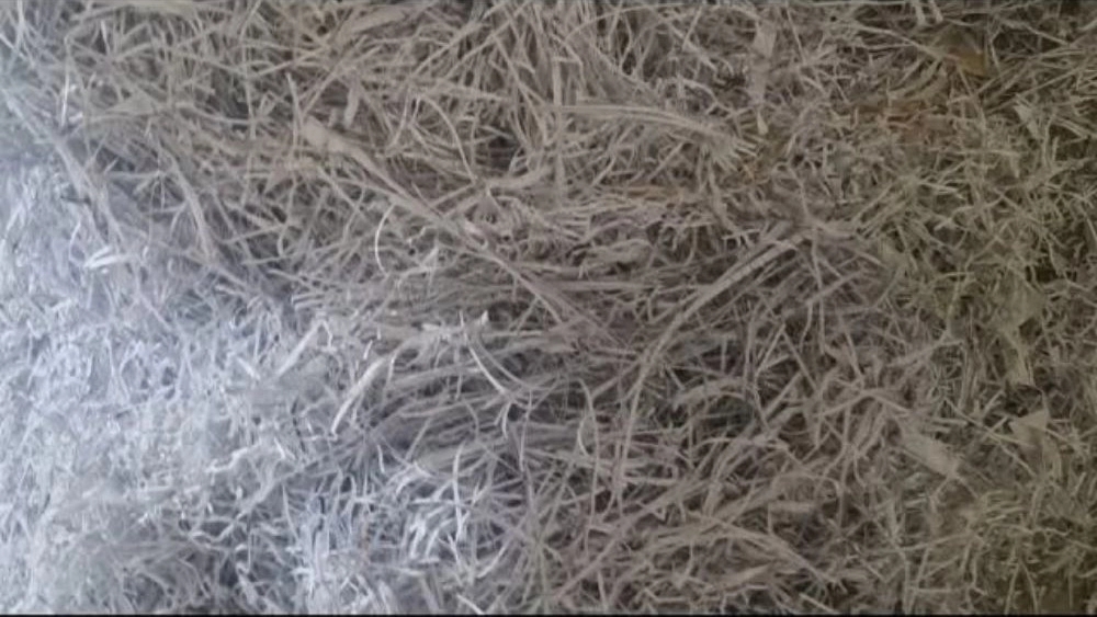 Azar Pushal Fruit Factory, mass production of Pushal in Tabriz