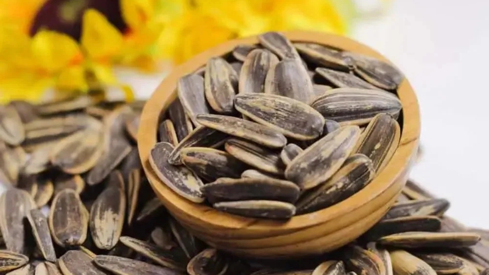 Alilu sunflower seeds, wholesale sale and distribution of sunflower seeds in West Azarbaijan