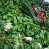 Radish store, selling ready pickled vegetables, homemade jam in Hashtgerd, Karaj