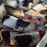 Radmehr Charcoal, sales and distribution of bulk self-burning charcoal in Tehran