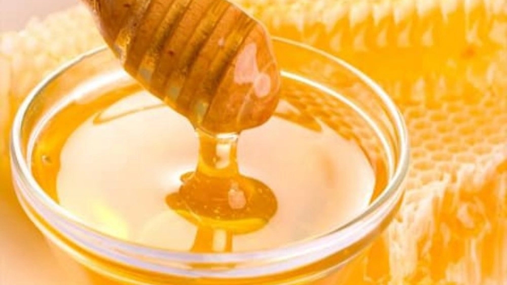 Avin Azmoun Honey Company, selling all kinds of honey and beekeeping medicine in Zanjan
