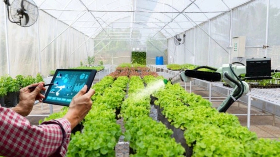 Chengizi agricultural services, technical consultation for visiting greenhouses, orchards and agricultural inputs in Khomein city