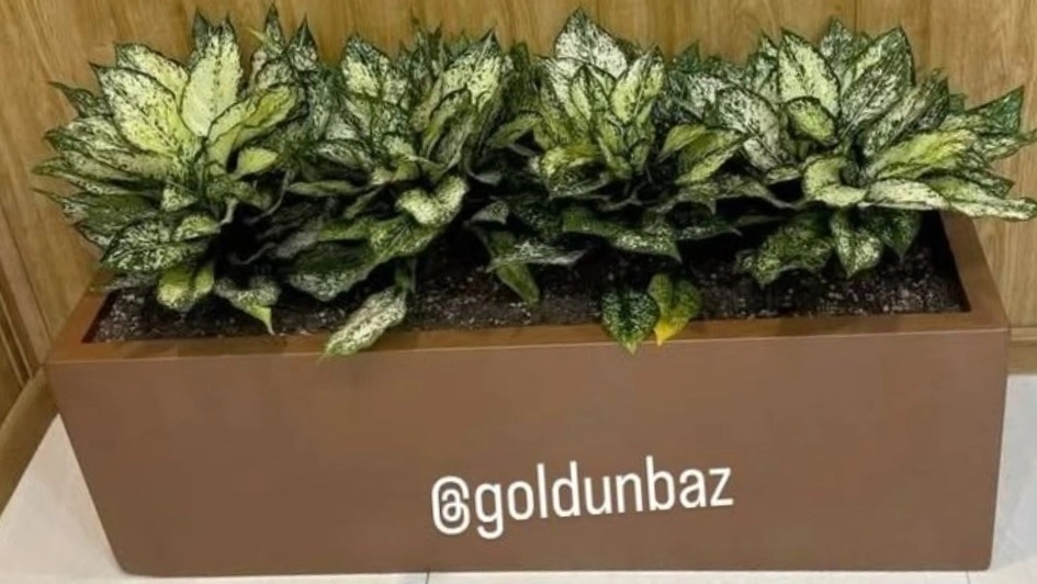 Goldon Baz store, production and sales of fiberglass vases and metal flower boxes in Tehran