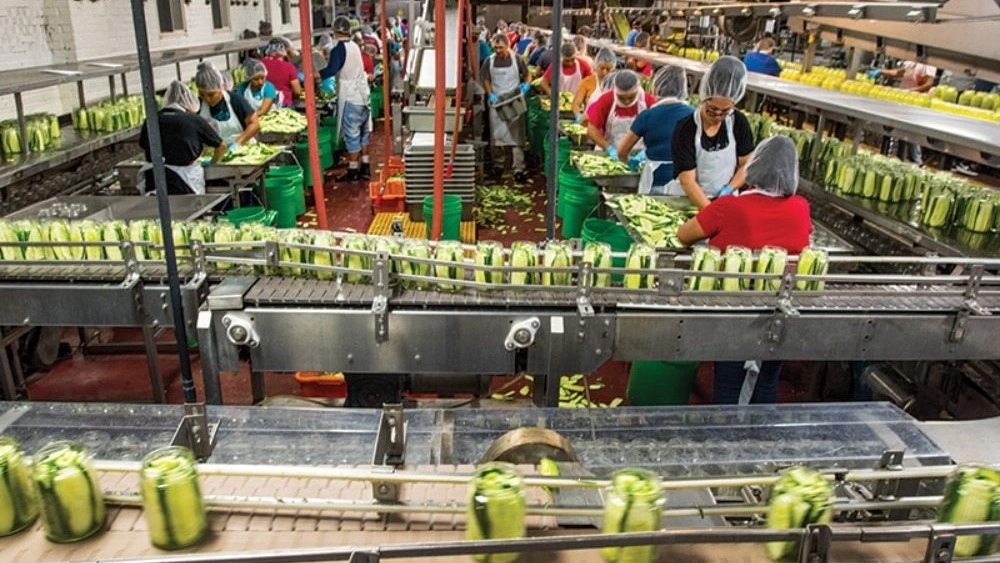 Introducing the best Iranian pickled cucumber and olive brands and the secret of their success