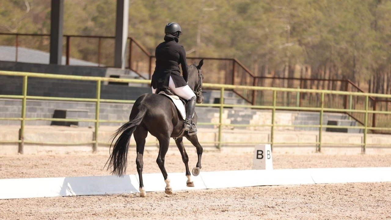 Almila Equestrian Club, providing all kinds of services and training and boarding in Isfahan
