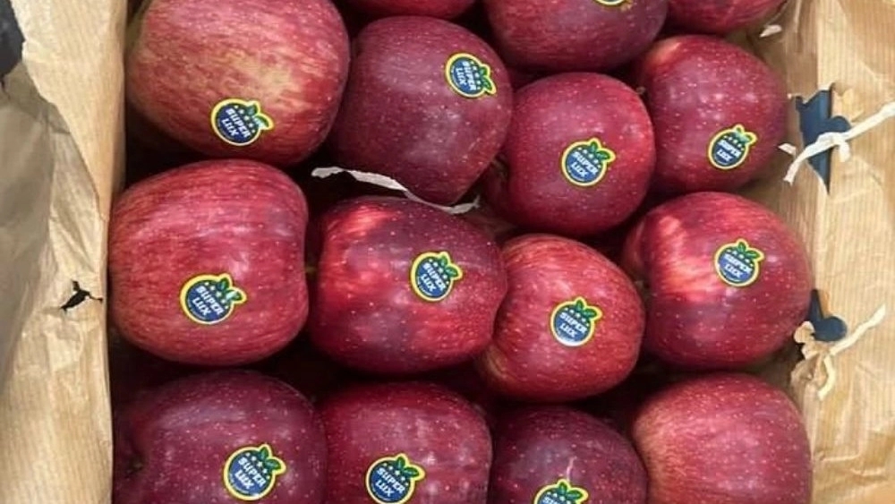 Good manners date trader, export of additional Bam and summer dates
