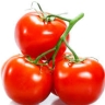 Khamsa agricultural services, sale of all kinds of fruit and summer seeds in Qazvin