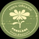 Purslane store, production and sale of all kinds of pickles, salt, jams and homemade pastes in Esfarayen